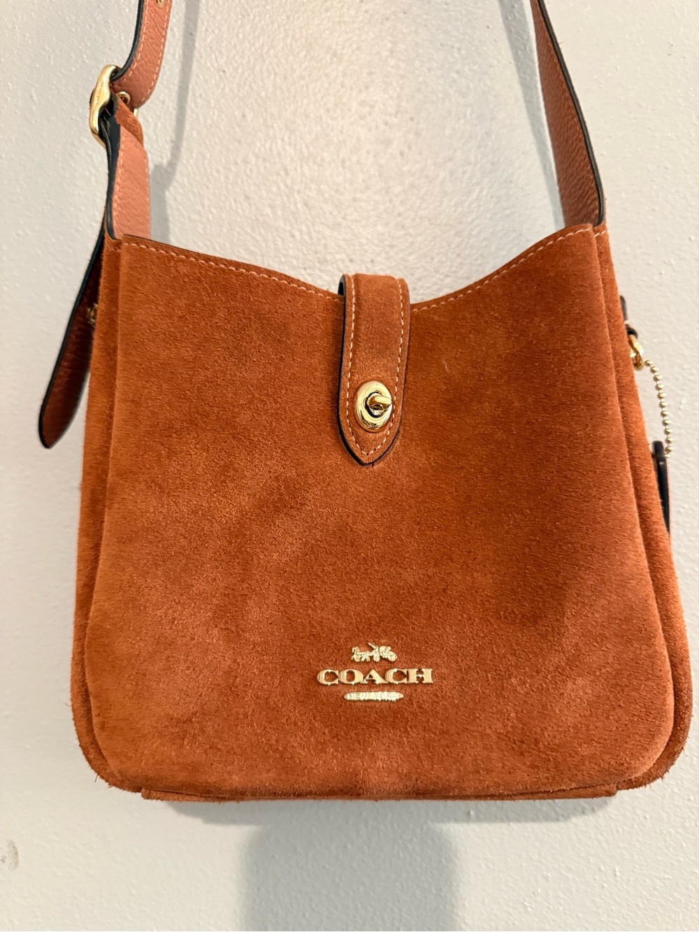 Coach Suede Hadley Small Crossbody Bag with Gold Hardware, Clay - Picture 7 of 8